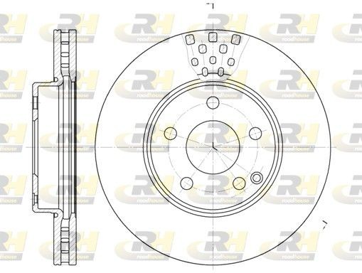 Mercedes E-Class Brake discs and rotors 10092944 ROADHOUSE 6676.10 online buy