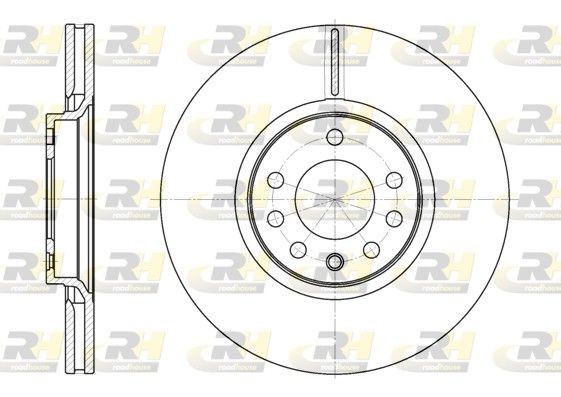 Opel ZAFIRA Disc brakes 10095507 ROADHOUSE 6729.10 online buy