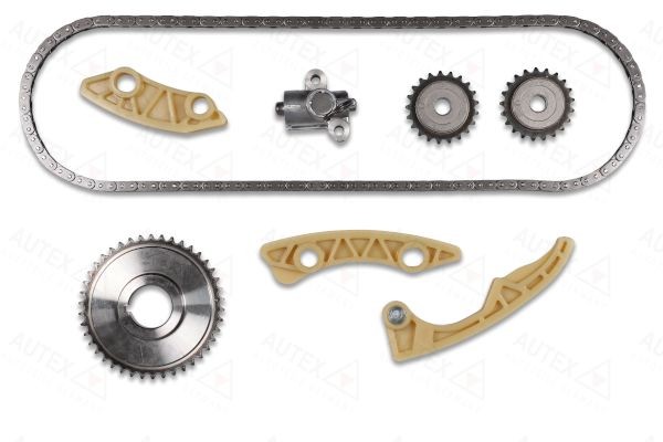 711193 AUTEX Timing chain set FIAT with intermediate shaft gear, Simplex, Closed chain