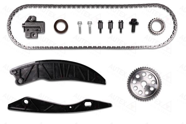 Kia Timing chain kit AUTEX 711418 at a good price