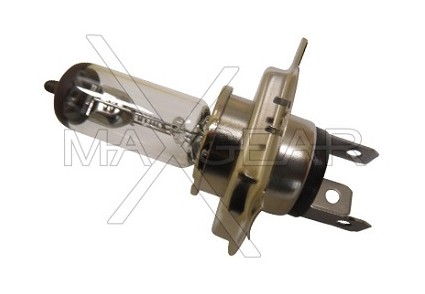 MAXGEAR 78-0051 Glühlampe, Fernscheinwerfer für DAF 65 CF LKW in Original Qualität