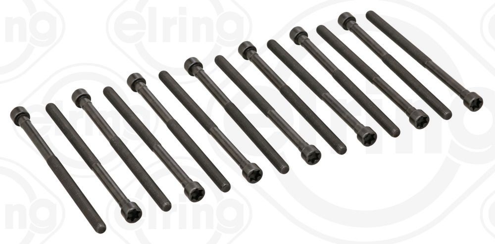 BMW 1 Series Cylinder head bolts 10216867 ELRING 794.480 online buy