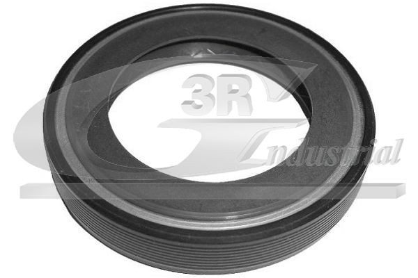 3RG 80211 Shaft Seal, differential 312109