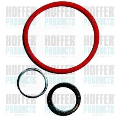 HOFFER 8029579 Injector Nozzle 13 53 7 798 446