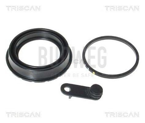 BMW X3 Brake caliper service kit 10259519 TRISCAN 8170 185472 online buy