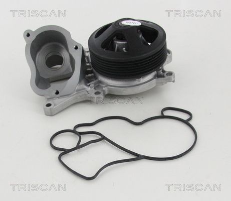 TRISCAN Water pump for engine 8600 11040
