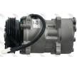 Klimakompressor 8600028 — aktuelle Top OE 6453P9 Ersatzteile-Angebote