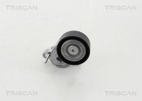 TRISCAN 8641163023 Tensioner pulley 2 431 347