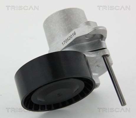 TRISCAN 8641293052 Tensioner pulley 04E145299AG