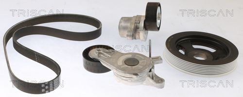 TRISCAN Pulleys: with crankshaft pulley Serpentine belt kit 8642 28027 buy