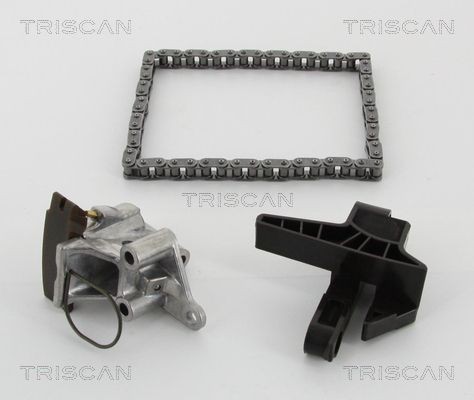 TRISCAN 865011001 Guides, timing chain 1131 1 722 651