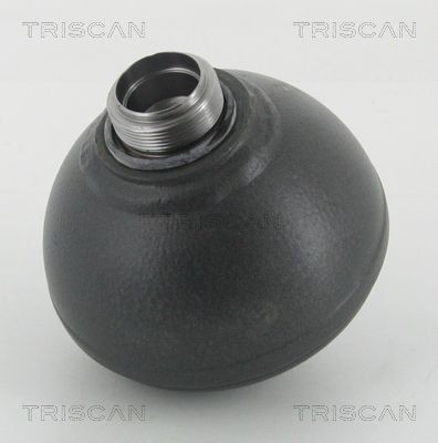 Original 8760 38304 TRISCAN Suspension sphere, pneumatic suspension experience and price