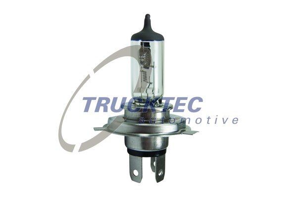 TRUCKTEC AUTOMOTIVE 88.58.003 Abblendlicht-Glühlampe für DAF 65 CF LKW in Original Qualität