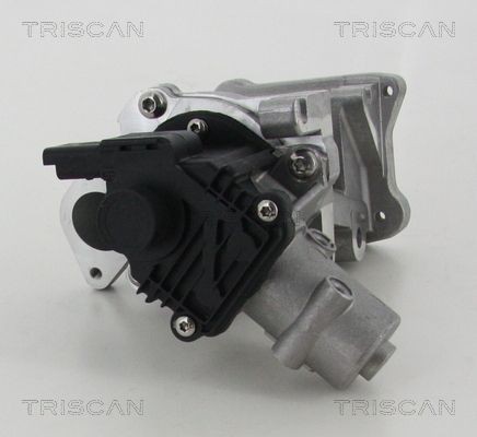 TRISCAN 8813 10007 EGR valve Electric, with gaskets/seals