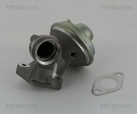 TRISCAN 881310102 EGR valve 1 483 814