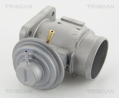 TRISCAN 881310210 EGR valve 11712248139