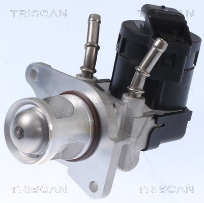 TRISCAN Electric, with gaskets/seals, without EGR cooler Number of pins: 5-pin connector Exhaust gas recirculation valve 8813 11001 buy