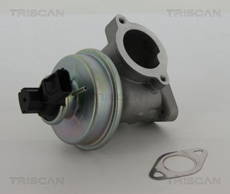 TRISCAN 881316012 EGR valve JDE3905