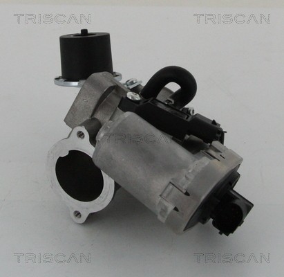 TRISCAN 8813 16202 EGR valve Electric-pneumatic, without gaskets/seals