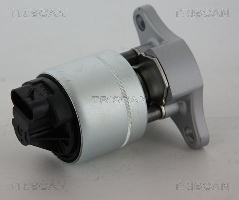 TRISCAN 881321006 EGR valve 48 11 588