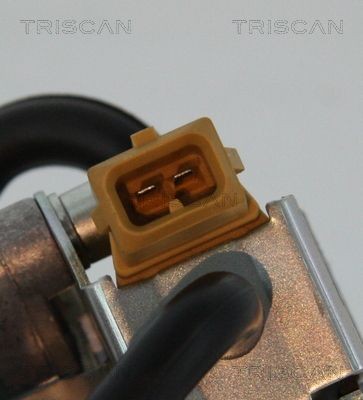 TRISCAN EGR valve 8813 23005