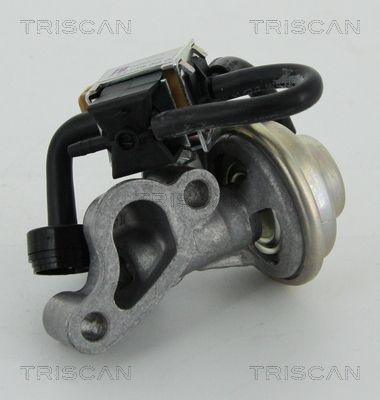 881323005 Exhaust gas recirculation valve TRISCAN 8813 23005 review and test