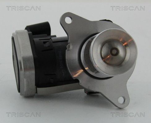 TRISCAN 881323006 EGR valve A 646 140 2460
