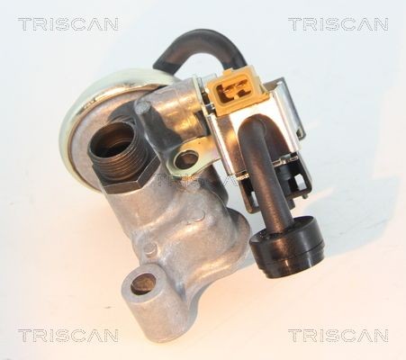 TRISCAN EGR valve 8813 23205
