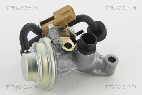 881323205 Exhaust gas recirculation valve TRISCAN 8813 23205 review and test