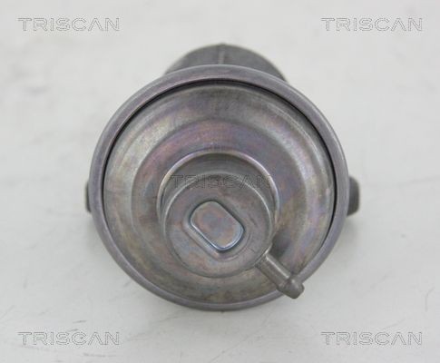 TRISCAN EGR valve 8813 25006
