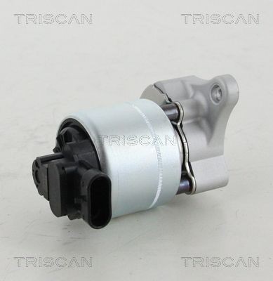TRISCAN 881328008 EGR valve 962 8355 780