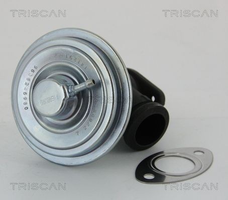 TRISCAN EGR valve 8813 28012