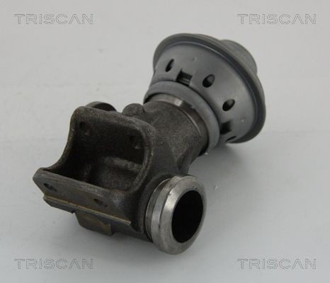 TRISCAN 881328013 EGR valve 96 403 41280