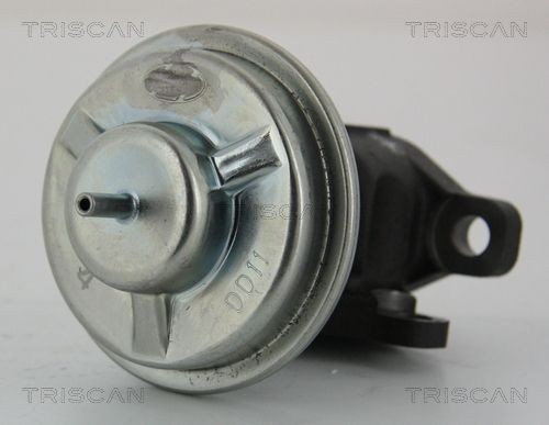 TRISCAN AGR-Ventil 8813 43003