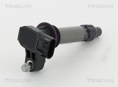 TRISCAN 886010024 Ignition coil 1 208 087