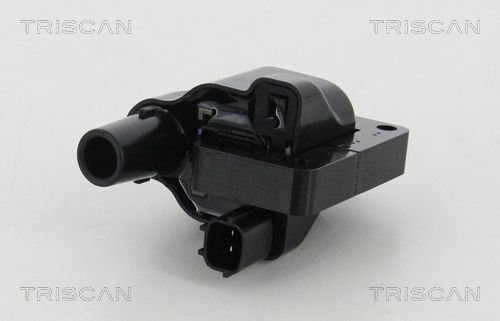 TRISCAN 886014019 Ignition coil 224481C701
