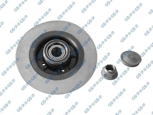 Renault SCÉNIC Brake discs and rotors 10504731 GSP 9230140K online buy
