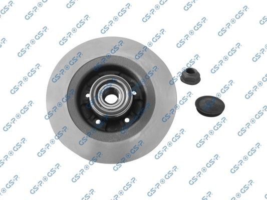 Renault SCÉNIC Brake discs 10504733 GSP 9230141K online buy