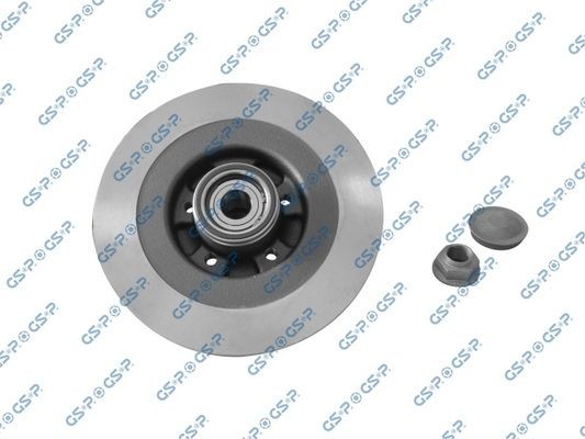 Renault TWINGO Brake discs 10504735 GSP 9230142K online buy