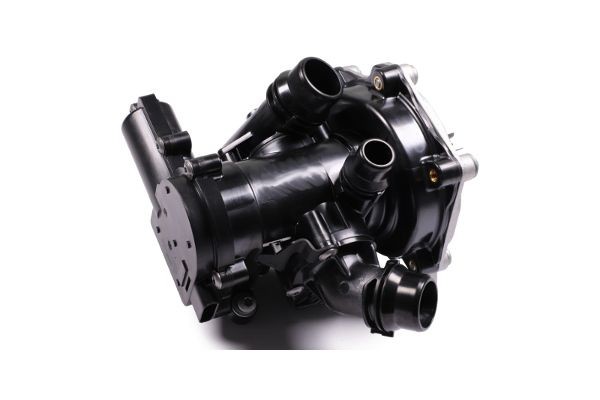 GK Water pump for engine 980320