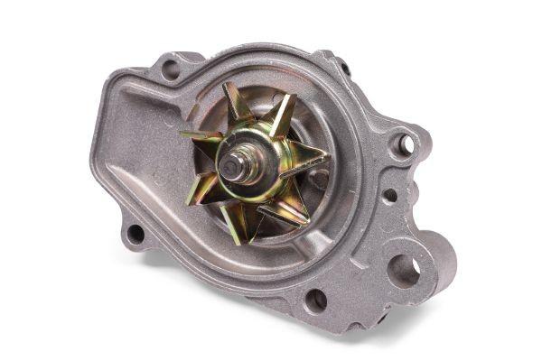 GK Water pump for engine 981041