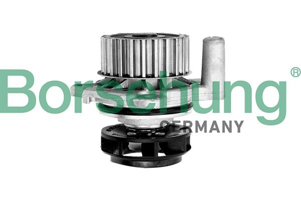 Coolant pump Borsehung Cast Aluminium, Plastic - B12688