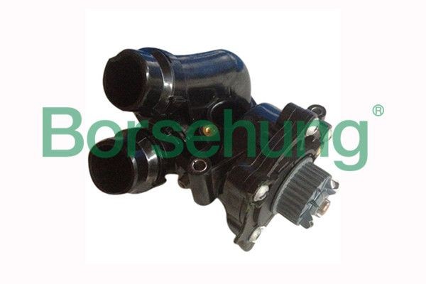 Borsehung B12691 Water pump 06H121026F