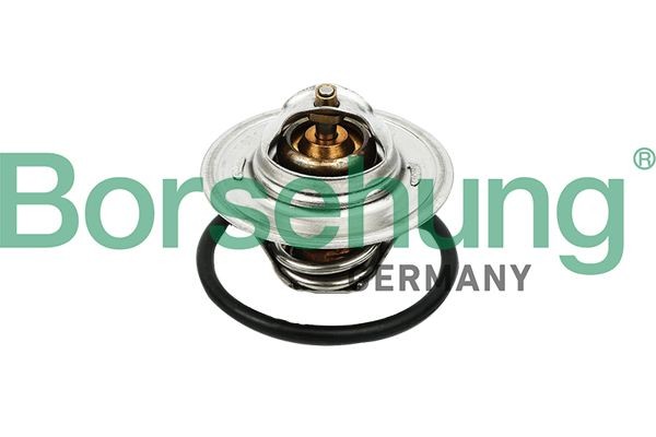 OEM-quality Borsehung B13140 Thermostat in engine cooling system