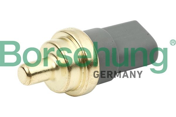 Borsehung B13146 Audi A5 2020 Coolant temperature sending unit