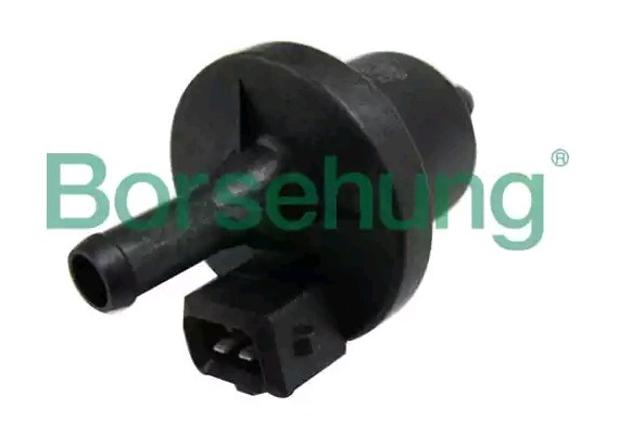 Borsehung B13667 Fuel tank breather valve VW TRANSPORTER 1999 in original quality