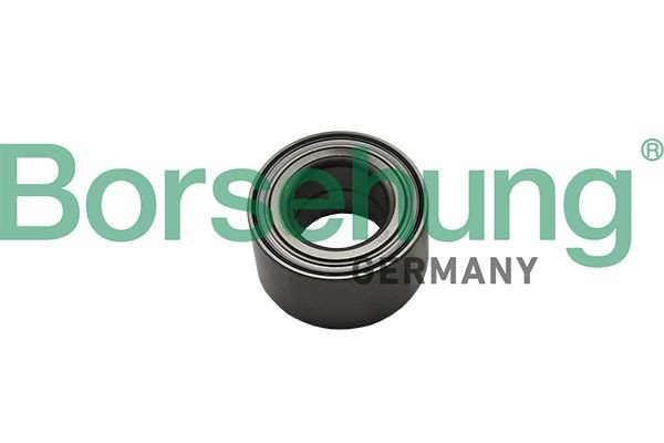 Volkswagen GOLF Wheel bearing 10705654 Borsehung B15622 online buy