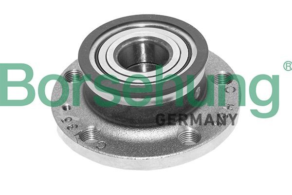 Wheel hub assembly Borsehung Rear - B15624