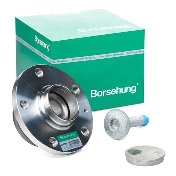 Borsehung B15946 Wheel bearing kit WHT 000 229A