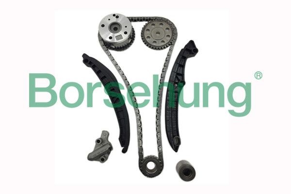 Borsehung B16306 Timing chain kit Audi A4 B6 1.9 TDI 101 hp Diesel 2004 price